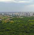 Em Campo Grande, capital de Mato Grosso do Sul, apenas 8,53% das moradias ficam em vias sem arborização urbana, segundo o Censo do IBGE  Foto: Saul Schramm/Agência de Noticias do Governo de Mato Grosso do Sul