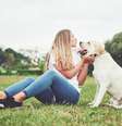 Labrador é uma das raças que precisa de espaço para correr  Foto: Freepik