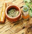 plantas medicinais  Foto: BigStock / Personare