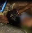 Menino cai em buraco na Bahia e outra criança ajuda em resgate  Foto: Reprodução/Redes sociais