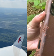 Celular despenca de avião a mais de 800 metros de altura e não quebra  Foto: Reprodução/Instagram:@ashprange