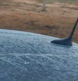 Com temperaturas mais baixas, morador registra geada em carro   Foto: Reprodução/TV Anhanguera