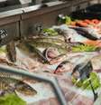 Saiba como escolher um peixe fresco na feira  Foto: Freepik
