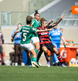 Palmeiras garantiu a classificação com virada sobre o Flamengo  Foto: Jhony Inacio/Especial para o Terra