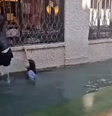 Gôndola vira e turistas caem na água em canal de Veneza  Foto: Reprodução/Ansa