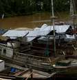 Barcos são o principal meio de transporte em algumas regiões da Amazônia  Foto: DW / Deutsche Welle