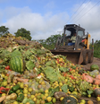 Dados da Organização das Nações Unidas para a Alimentação e a Agricultura (FAO) mostram que, globalmente, 13,2% de tudo o que sai do campo se perde logo após a colheita. A região da América Latina e Caribe, que abriga 9% da população mundial, representa 20% das perdas globais FOTO: FAO/ONU, CC BY  Foto: The Conversation
