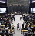 Veja os deputados federais eleitos por estado
  Foto: Divulgação