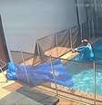 Piscineiro salva cachorro que se afogava,  Foto: Reprodução / Portal de Prefeitura