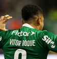 Vitor Roque publicou imagem de tigre mordendo o pescoço de um veado após a vitória contra o São Paulo  Foto: Cesar Greco/SE Palmeiras