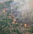 Fumaça de incêndio criminoso na Floresta Amazônica, em agosto de 2024  Foto: ANSA / Ansa - Brasil