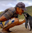 Registro feito de João e Dindim quando animal estava em Ilha Grande  Foto: Reprodução/Fantástico