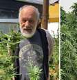 Ricardo Petraglia e sua plantação de maconha  Foto: Reprodução | Instagram 