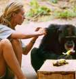 A jovem Jane Goodall com um chimpanzé na Tanzânia, no início dos anos 1960.  Foto: National Geographic / RFI