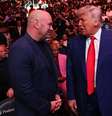 Presidente dos EUA, Donald Trump, conversa com o presidente e CEO do UFC, Dana White, durante o UFC 316 no Prudential Center, em 7 de junho de 2025, em Nova Jersey  Foto: Ed Mulholland/GettyImages
