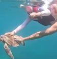 Turista é multada em R$ 10 mil após família tocar em tartaruga-marinha em Noronha  Foto: Divulgação/ICMBio Noronha