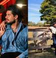 Zé Felipe dá resposta afiada após comentário sobre aliança  Foto: Reprodução/Instagram / Famosos e Celebridades