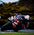 Bezzecchi comanda o show em Phillip Island e garante a dobradinha da Aprilia no treino  Foto: Aprilia Racing / Reprodução