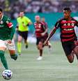 Flamengo venceu o Palmeiras no primeiro turno  Foto: Riquelve Nata/Sports Press Photo/Getty Images