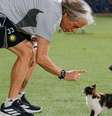 Jorge Jesus brinca com a gatinha que invadiu o treino do Al-Nassr  Foto: - Divulgação / Al-Nassr / Jogada10