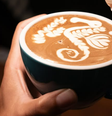 Coffee Five está entre as melhores cafeterias da América do Sul  Foto: Reprodução/Instagram