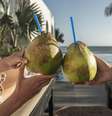 Conheça os benefícios da água de coco  Foto: Freepik