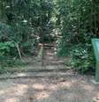 Local de acesso à trilha do Tijuca Mirim  Foto: Divulgação/Parque Nacional da Tijuca