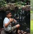 Menino, de 9 anos, foi picado da cabeça aos pés, em uma região de mata em Catalão (GO)  Foto: Reprodução/Redes sociais/Rbeca Amorim