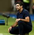 Abel Ferreira na beira do campo durante jogo contra o Grêmio  Foto: ( Getty Images) / Sportbuzz