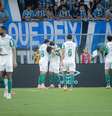 Jogadores do Palmeiras comemoram gol contra o Grêmio  Foto: MAXI FRANZOI/AGIF/ESTADÃO CONTEÚDO