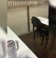 Durante operação, um disparo atingiu uma sala de aula da UFRJ  Foto: Reprodução/TV Globo