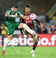 Palmeiras e Flamengo vão se enfrentar neste sábado   Foto: Richard Callis/Sports Press Photo/Getty Images