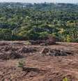 Parlamentares abriram caminho para a supressão de floresta nativa da Mata Atlântica, bioma que coincide com região densamente povoada do Brasil  Foto: Getty Images / BBC News Brasil