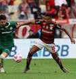  Foto: Cesar Greco / Palmeiras - Legenda: Palmeiras e Flamengo voltam a se enfrentar em mais uma final de Libertadores / Jogada10