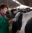  Foto: Boehringer Ingelheim / DINO