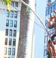 Torcedor exibe cabeça de porco durante comemoração no centro do Rio  Foto: Reprodução/Flamengo TV/Youtube