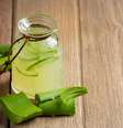 Suco de babosa faz bem?   Foto: Freepik