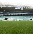 Gramado artificial instalado no Allianz Parque, casa do Palmeiras  Foto: Divulgação/Palmeiras