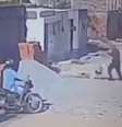 Policial atira em pitbull para salvar poodle no Ceará  Foto: Reprodução