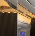Rataza é flagarada à bordo de avião da KLM Airlines  Foto: Reprodução/X