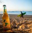 Parceria promete preservação de praias históricas do surfe brasileiro  Foto: Divulgação