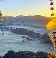 Geada e temperaturas baixas marcam amanhecer em SC  Foto: Mycchel Legnaghi/Divulgação