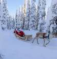 Papai Noel em trenó de renas, Ruka (Kuusamo), região norte da Ostrobótnia, Lapônia, Finlândia  Foto: Roberto Moiola/Sysaworld/Getty Images