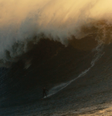 Britânica surfa onda gigante em Nazaré e pode superar recorde de brasileira  Foto: Reprodução/X