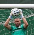 Grande e Volpi seguirão como opções no gol tricolor –  Foto: Lucas Uebel e Caroline Motta/Grêmio FBPA / Jogada10