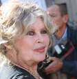 Após se aposentar como atriz, Brigitte Bardot se dedicou ao ativismo do direitos dos animais  Foto: Thomas SAMSON/Gamma-Rapho via Getty Images