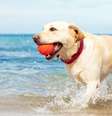  Foto: Shutterstock / Alto Astral
