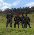 Membros do Exército de Libertação Nacional (ELN) patrulham região de Catatumbo na Colômbia.  Foto: AFP - STRINGER / RFI