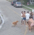 Jogadores do Fortaleza se envolvem em briga generalizada com vizinhos na virada do ano, no CE  Foto: Reprodução/Redes Sociais