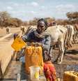 As secas tornaram mais difícil encontrar água para o gado e levaram à desnutrição generalizada em partes da Etiópia nos últimos anos. Em 2022, o Unicef estimou que cerca de 600.000 crianças precisariam de tratamento para desnutrição grave. Demissew Bizuwerk/UNICEF Etiópia, CC BY  Foto: The Conversation